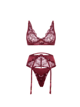 Zinfandel Floral Embroidered Bra, Garter Belt & Thong Set