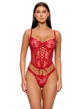 La Vie en Rose Metallic Embroidered Bustier Set