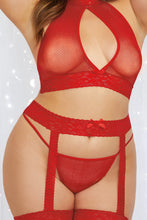 Hot fishnet and lce plus size bralette set