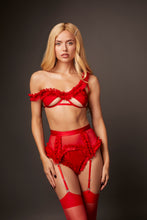 Luxurious designer red bra set
