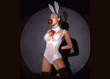 Sexy Bunny designer costume